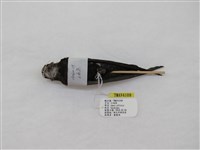 藏品(小雨燕)的圖片